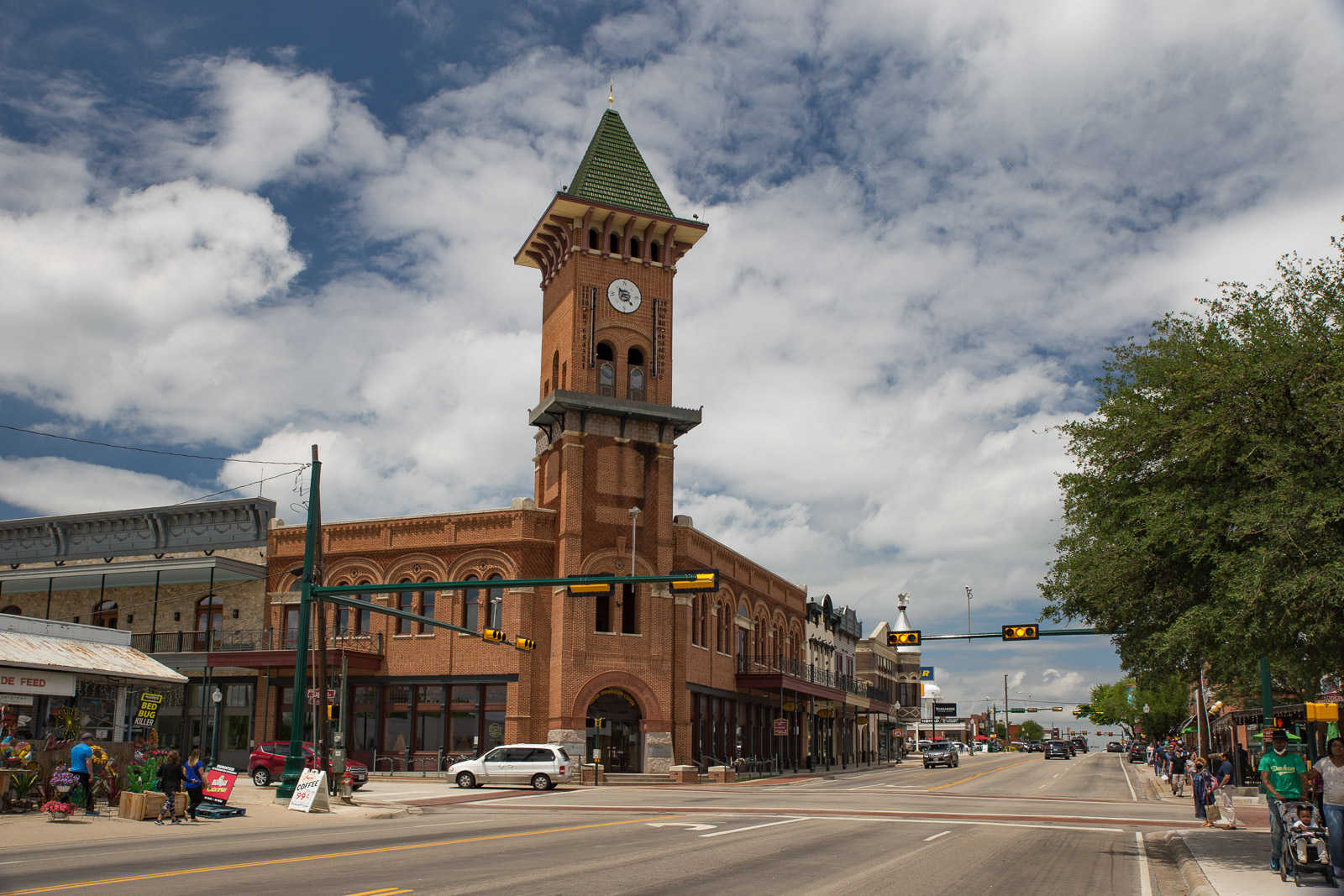 Grapevine
